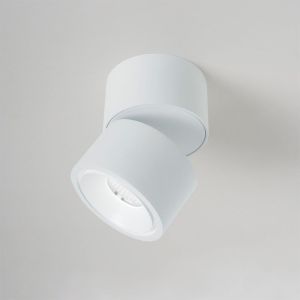Easylight Luca Mini DTW LED-Deckenstrahler 1-flammig bei lampenonline.de