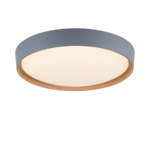 Paul Neuhaus Q-Emilia 6118 LED-Wand- und Deckenleuchte bei lampenonline.de