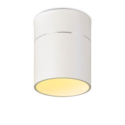 Oligo Tudor M LED-Deckenleuchte-Weiß-mit Tunable White (2200K - 5000K)