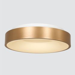 Steinhauer Ringlede Ø 48 cm LED-Wand- und Deckenleuchte-Gold-mit LED (2700K)